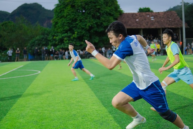 面所显示的 面所显示的